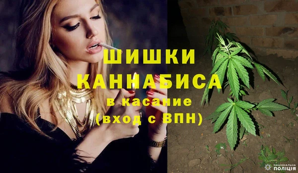 spice Арсеньев
